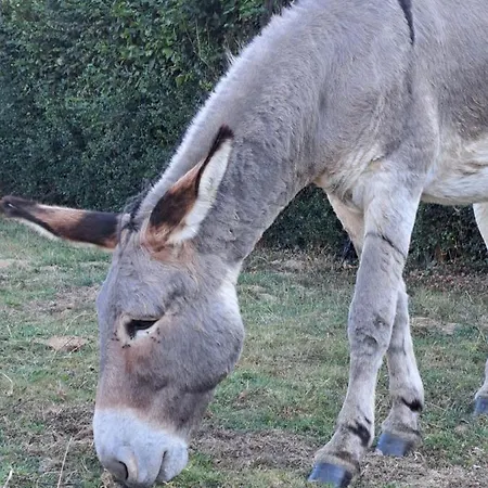 招待所 Les D'elise - Louane