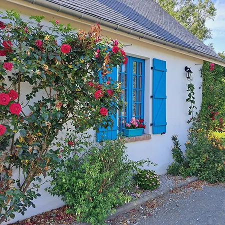 Les D'elise - Louane