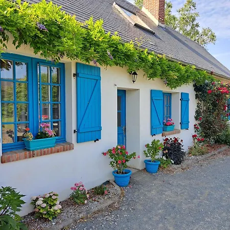 Les D'elise - Louane