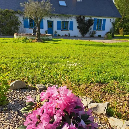 Les D'elise - Louane 招待所