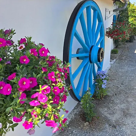 Les D'elise - Louane 3*